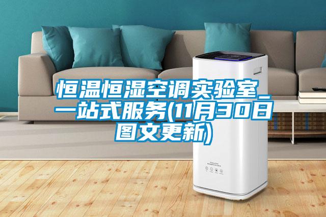 恒溫恒濕空調(diào)實(shí)驗(yàn)室_一站式服務(wù)(11月30日?qǐng)D文更新)