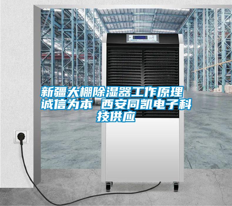 新疆大棚除濕器工作原理 誠信為本 西安同凱電子科技供應(yīng)