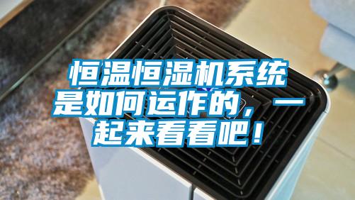 恒溫恒濕機(jī)系統(tǒng)是如何運(yùn)作的，一起來看看吧！