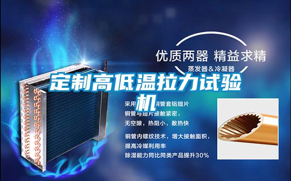 定制高低溫拉力試驗(yàn)機(jī)