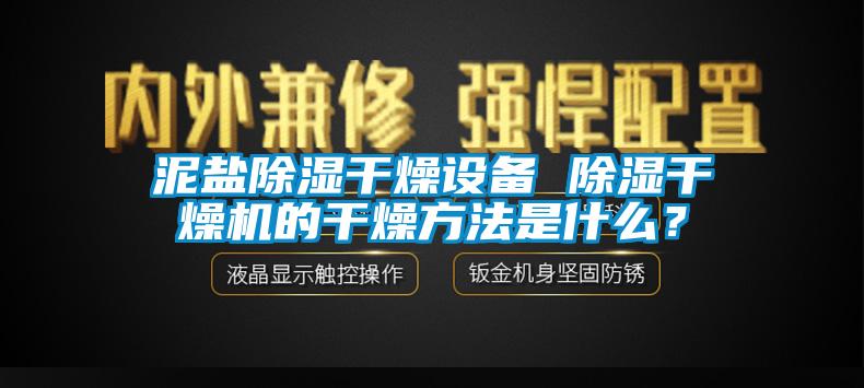泥鹽除濕干燥設備 除濕干燥機的干燥方法是什么？
