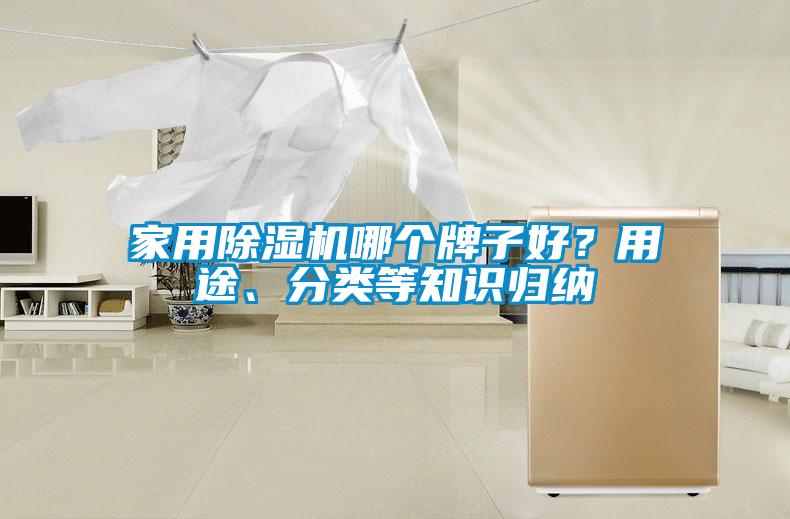 家用除濕機(jī)哪個(gè)牌子好？用途、分類(lèi)等知識(shí)歸納