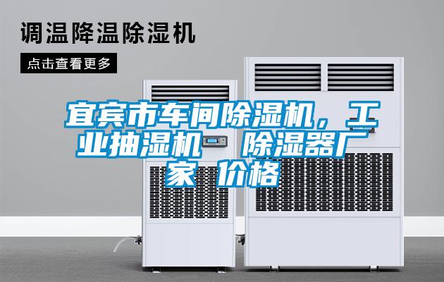 宜賓市車間除濕機(jī)，工業(yè)抽濕機(jī)  除濕器廠家 價(jià)格