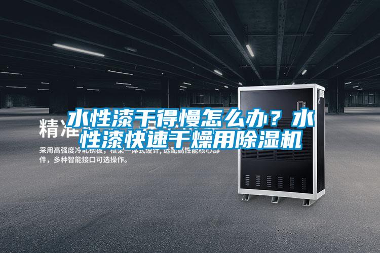 水性漆干得慢怎么辦？水性漆快速干燥用除濕機