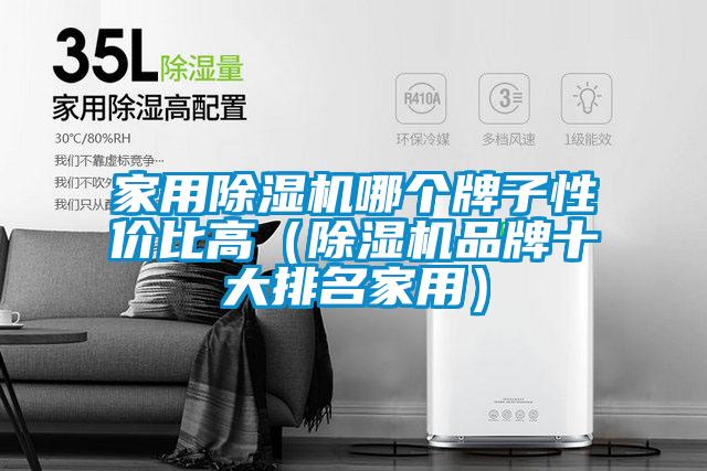 家用除濕機(jī)哪個(gè)牌子性價(jià)比高（除濕機(jī)品牌十大排名家用）