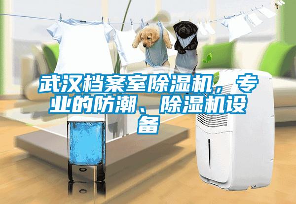 武漢檔案室除濕機，專業(yè)的防潮、除濕機設備