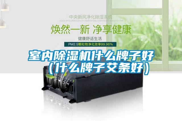 室內(nèi)除濕機(jī)什么牌子好（什么牌子艾條好）
