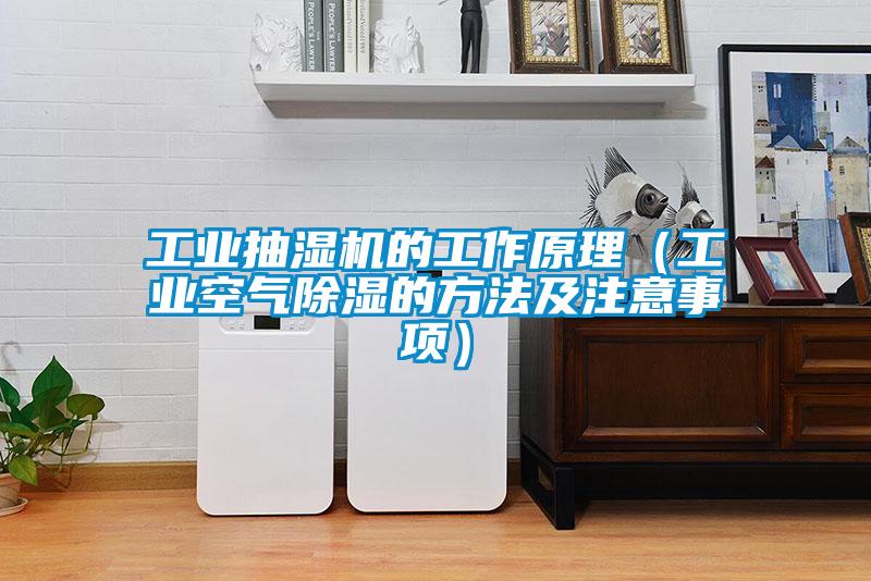 工業(yè)抽濕機(jī)的工作原理（工業(yè)空氣除濕的方法及注意事項）
