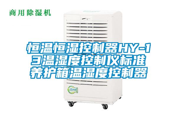 恒溫恒濕控制器HY-13溫濕度控制儀標準養(yǎng)護箱溫濕度控制器