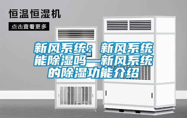 新風系統(tǒng)：新風系統(tǒng)能除濕嗎—新風系統(tǒng)的除濕功能介紹
