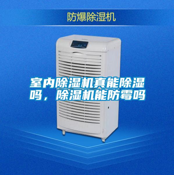 室內(nèi)除濕機真能除濕嗎，除濕機能防霉嗎
