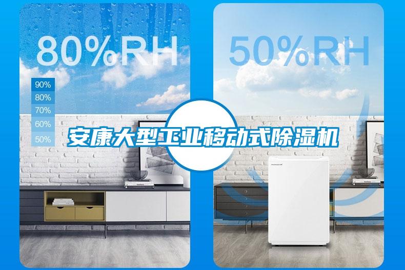 安康大型工業(yè)移動(dòng)式除濕機(jī)