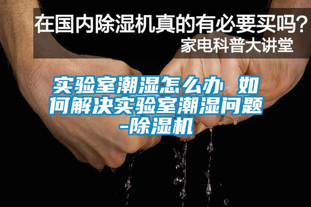 實驗室潮濕怎么辦 如何解決實驗室潮濕問題-除濕機
