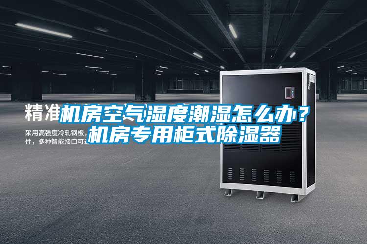 機房空氣濕度潮濕怎么辦？機房專用柜式除濕器