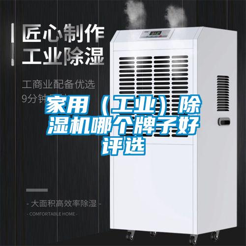 家用（工業(yè)）除濕機哪個牌子好評選