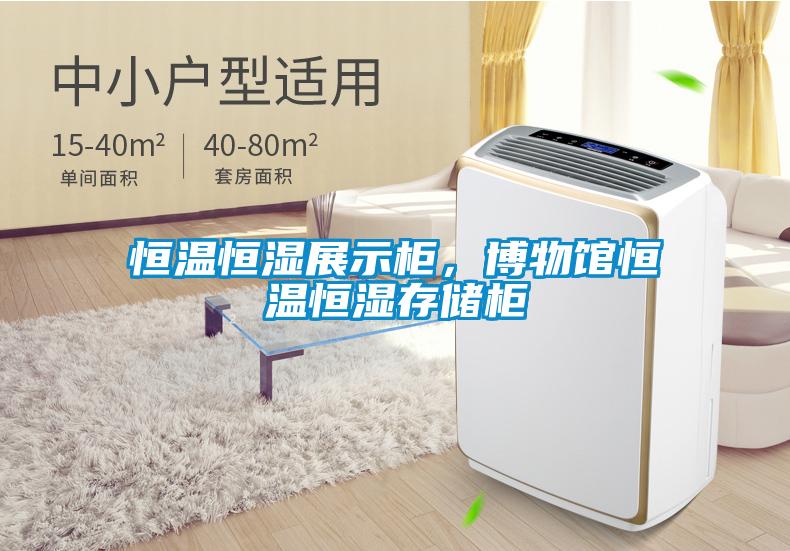 恒溫恒濕展示柜，博物館恒溫恒濕存儲(chǔ)柜