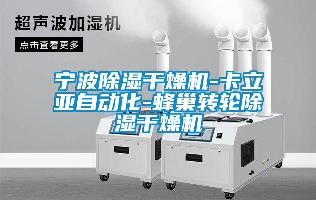 寧波除濕干燥機(jī)-卡立亞自動化-蜂巢轉(zhuǎn)輪除濕干燥機(jī)