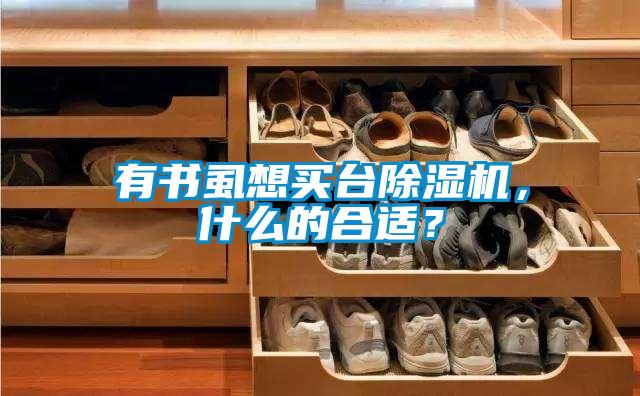 有書虱想買臺除濕機，什么的合適？