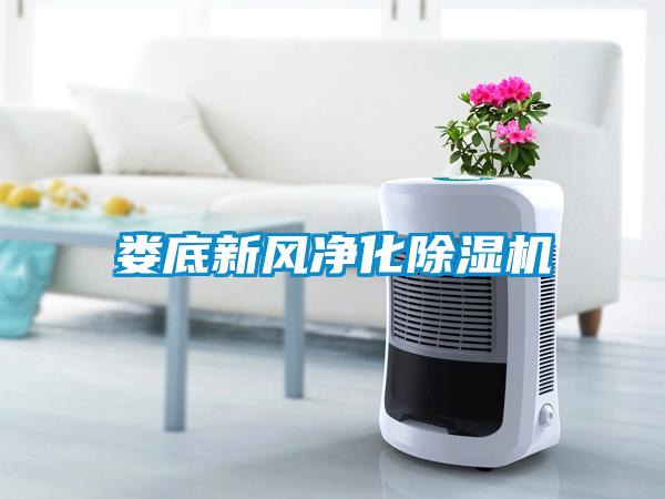 婁底新風凈化除濕機
