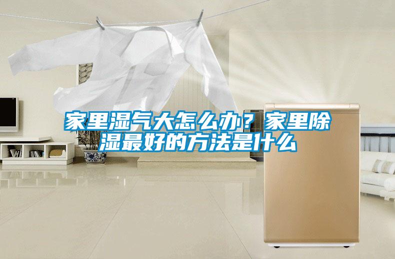 家里濕氣大怎么辦？家里除濕最好的方法是什么
