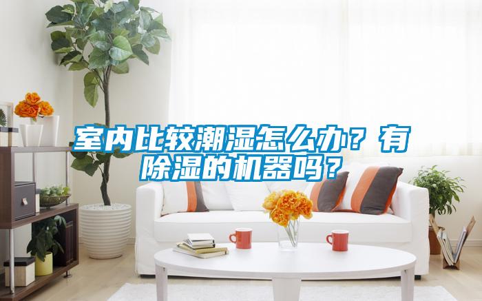 室內(nèi)比較潮濕怎么辦？有除濕的機(jī)器嗎？
