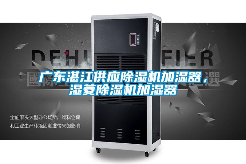 廣東湛江供應(yīng)除濕機(jī)加濕器，濕菱除濕機(jī)加濕器