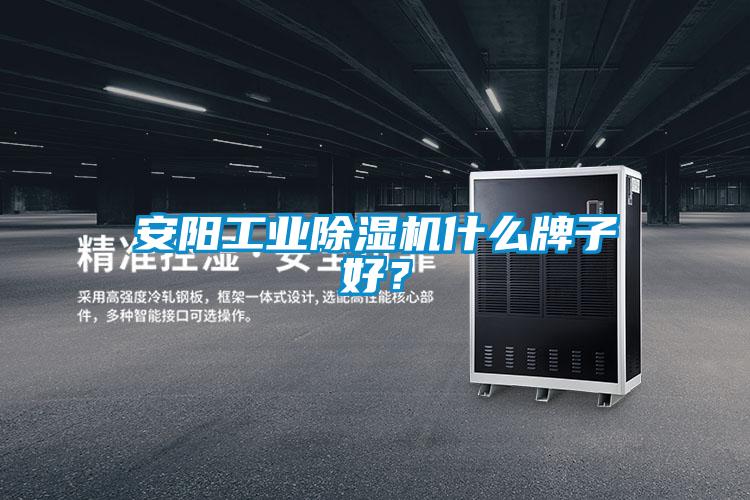 安陽(yáng)工業(yè)除濕機(jī)什么牌子好？