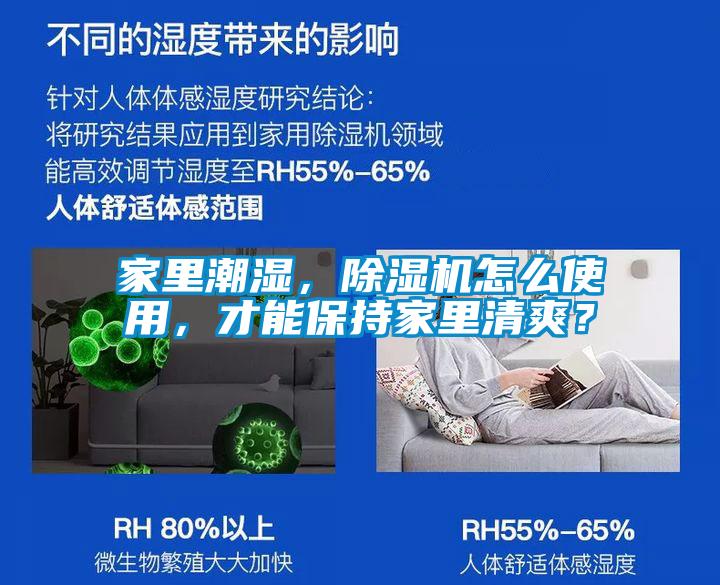 家里潮濕，除濕機怎么使用，才能保持家里清爽？
