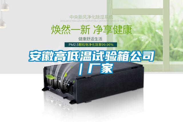 安徽高低溫試驗箱公司｜廠家