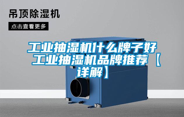 工業(yè)抽濕機什么牌子好 工業(yè)抽濕機品牌推薦【詳解】
