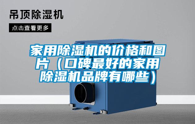 家用除濕機(jī)的價(jià)格和圖片（口碑最好的家用除濕機(jī)品牌有哪些）