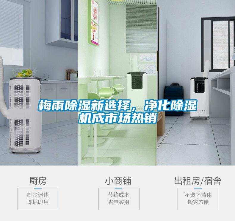 梅雨除濕新選擇，凈化除濕機(jī)成市場(chǎng)熱銷