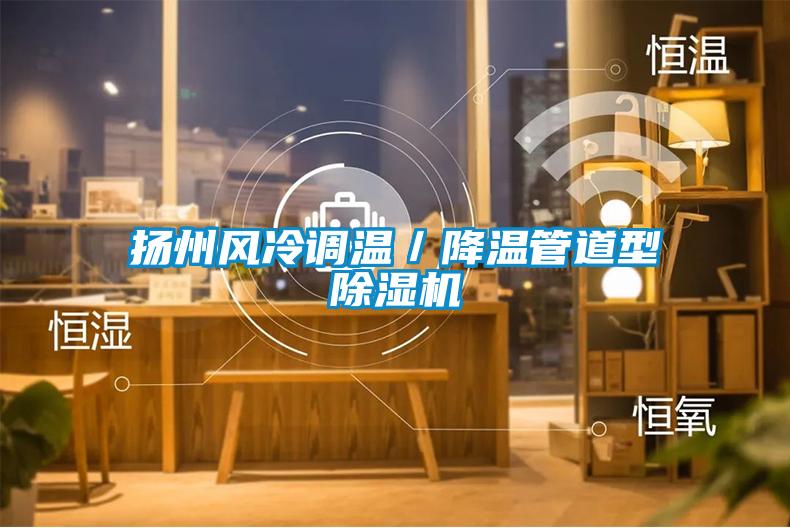 揚(yáng)州風(fēng)冷調(diào)溫／降溫管道型除濕機(jī)