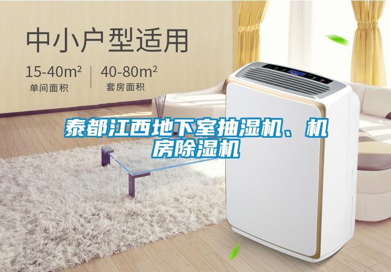 泰都江西地下室抽濕機(jī)、機(jī)房除濕機(jī)