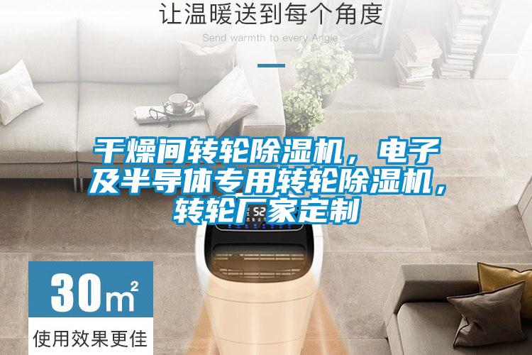 干燥間轉(zhuǎn)輪除濕機(jī)，電子及半導(dǎo)體專(zhuān)用轉(zhuǎn)輪除濕機(jī)，轉(zhuǎn)輪廠家定制