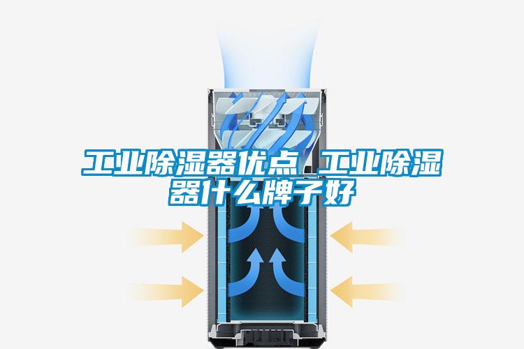 工業(yè)除濕器優(yōu)點 工業(yè)除濕器什么牌子好