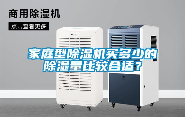 家庭型除濕機買多少的除濕量比較合適？