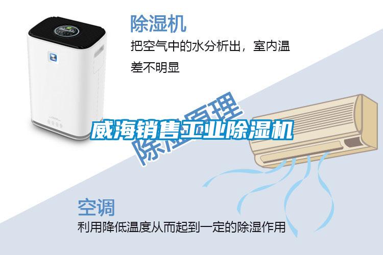 威海銷售工業(yè)除濕機