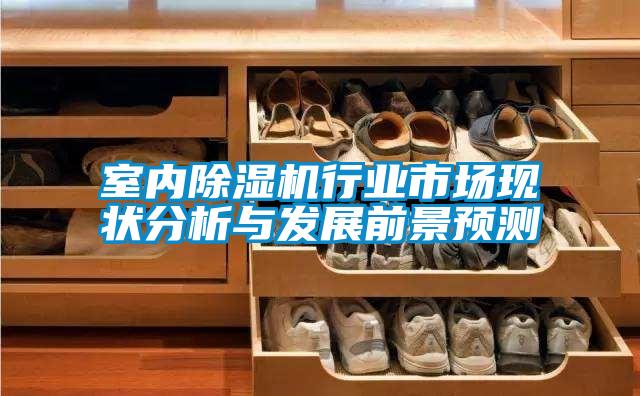 室內(nèi)除濕機行業(yè)市場現(xiàn)狀分析與發(fā)展前景預測