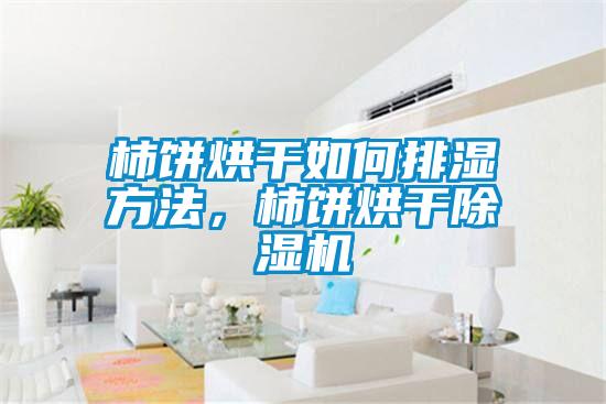 柿餅烘干如何排濕方法，柿餅烘干除濕機(jī)