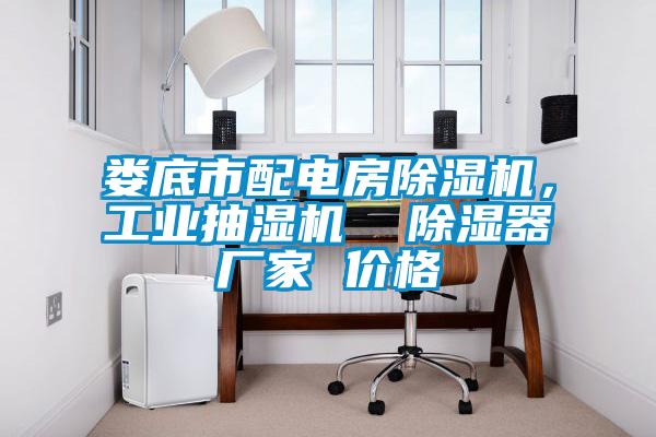 婁底市配電房除濕機(jī)，工業(yè)抽濕機(jī)  除濕器廠家 價(jià)格