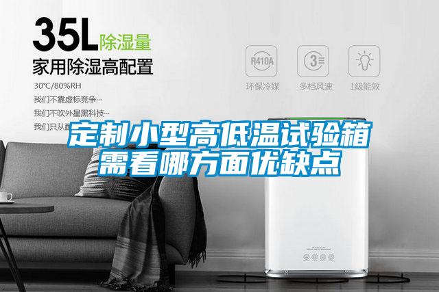 定制小型高低溫試驗(yàn)箱需看哪方面優(yōu)缺點(diǎn)