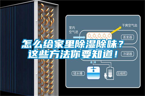 怎么給家里除濕除味？這些方法你要知道！