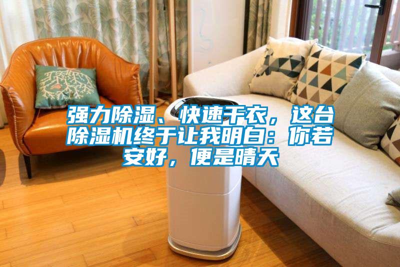 強(qiáng)力除濕、快速干衣，這臺除濕機(jī)終于讓我明白：你若安好，便是晴天