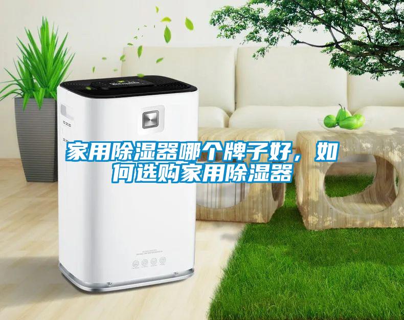 家用除濕器哪個(gè)牌子好，如何選購(gòu)家用除濕器