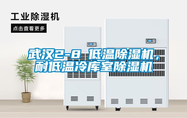 武漢2-8℃低溫除濕機，耐低溫冷庫室除濕機