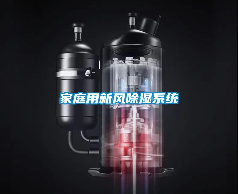 家庭用新風(fēng)除濕系統(tǒng)
