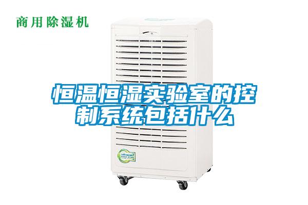 恒溫恒濕實(shí)驗(yàn)室的控制系統(tǒng)包括什么