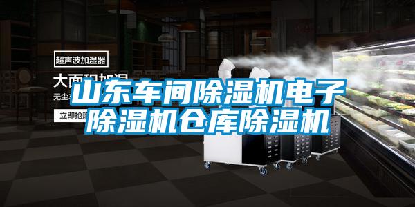 山東車間除濕機(jī)電子除濕機(jī)倉(cāng)庫(kù)除濕機(jī)