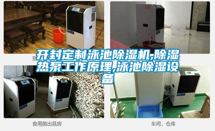 開封定制泳池除濕機(jī),除濕熱泵工作原理,泳池除濕設(shè)備